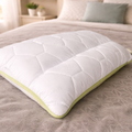 ALOE VERA PREMIUM Pillow with Memory Foam Neck Support